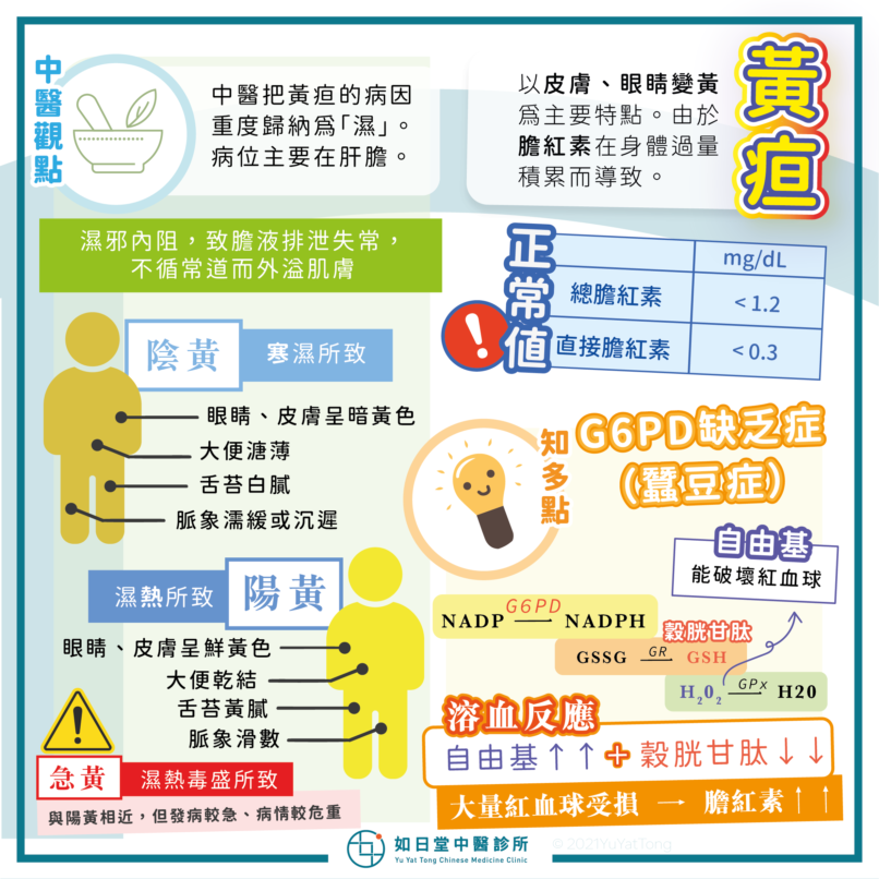 20210425_黃疸-17