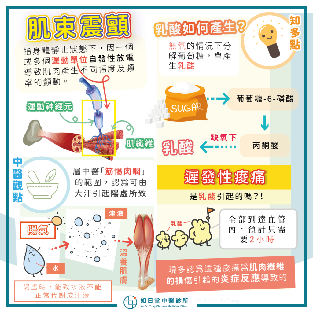 肌束震顫