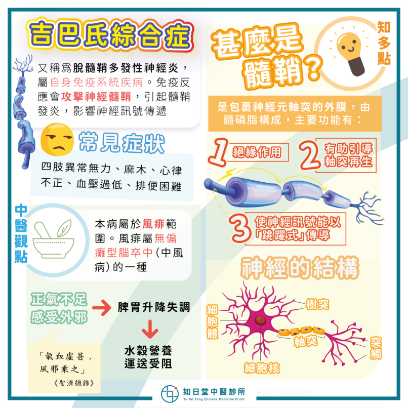 20210711_吉巴氏綜合症-27