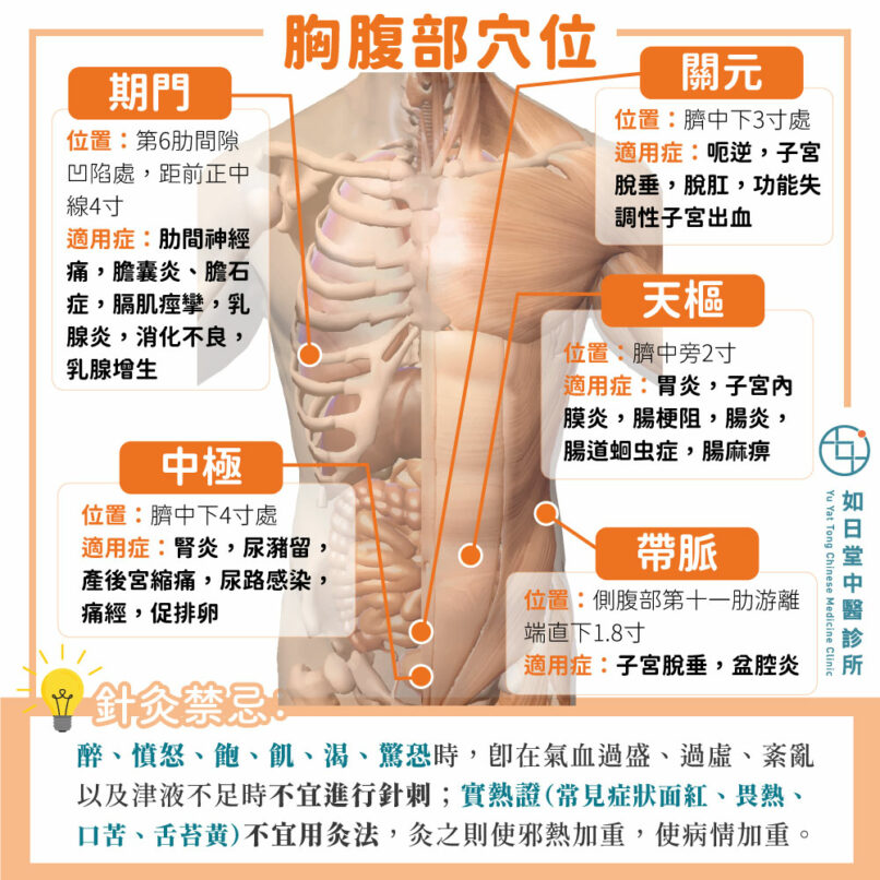 2024_YYTPost-06_Chest&Abds
